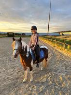 Verzorg pony gezocht ️, Dieren en Toebehoren, Paarden en Pony's | Verzorgingsproducten, Ophalen of Verzenden