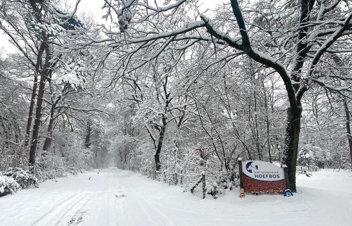 Natuurhuisje Veluwe Otterlo Last Minute winterwonderland, Vakantie, Vakantiehuizen | Nederland, Gelderland en Veluwe, Appartement