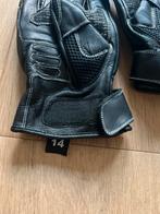 Damen motorhandschoenen, Motoren, Kleding | Motorkleding, Damen, Heren, Ophalen of Verzenden, Nieuw zonder kaartje