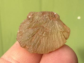 Prehniet Wave Hill Australië mineralen beschikbaar voor biedingen