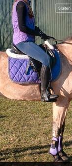 Compleet setje paars, Dieren en Toebehoren, Paarden en Pony's | Dekens en Dekjes, Ophalen of Verzenden, Zo goed als nieuw