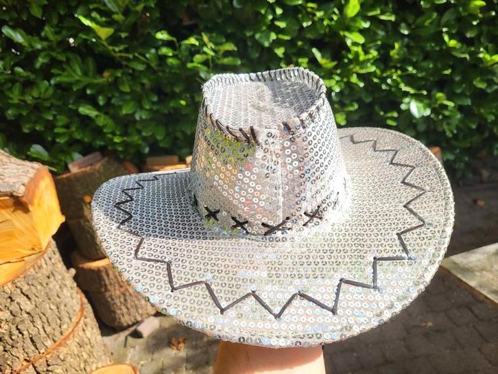 Feest hoed Party hoed Cowboy hoed glitter, Kleding | Heren, Hoeden en Petten, Zo goed als nieuw, Hoed, 57 cm (M, 7⅛ inch) of minder