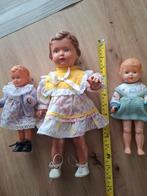 Schilkröt poppen incl. kleding, Ophalen of Verzenden, Zo goed als nieuw, Pop