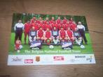 the belgian national football team, Ophalen of Verzenden, Zo goed als nieuw, Buitenlandse clubs, Spelerskaart