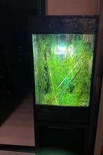 Terrarium, Dieren en Toebehoren, Ophalen, Zo goed als nieuw