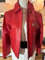 Rode, leren jas Eddy's Jackets, 38/M, vintage effecten, ZGAN, Ophalen of Verzenden, Zo goed als nieuw, Maat 38/40 (M), Rood