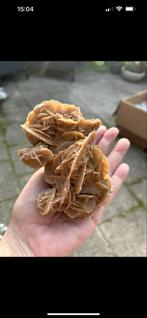 Unieke Woestijnroos - Prachtig Mineraal!, Ophalen of Verzenden, Mineraal