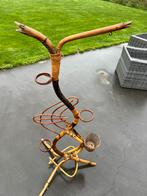 Plantenslang, Huis en Inrichting, Ophalen, Halfschaduw, Minder dan 100 cm