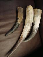 Grote hoorns..46..34..25cm..1koop, Ophalen, Zo goed als nieuw, Beeldje of Figuurtje