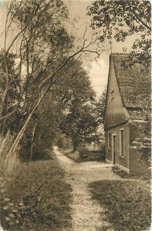 (300-445-007) Schoorl Het Groenewegje, Verzamelen, Ansichtkaarten | Nederland, Noord-Holland, Verzenden