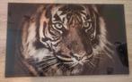 Tijger op glas 30x40cm, Huis en Inrichting, Minder dan 50 cm, Ophalen of Verzenden, Zo goed als nieuw, Schilderij