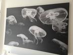 Groot schilderij! 118x78 cm kwallen, Ophalen, Zo goed als nieuw, Schilderij, 100 tot 125 cm