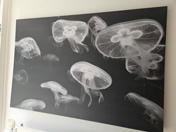 Groot schilderij! 118x78 cm kwallen beschikbaar voor biedingen