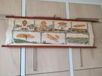 canvas rol houten lat, Antiek en Kunst, Antiek | Schoolplaten, Ophalen of Verzenden