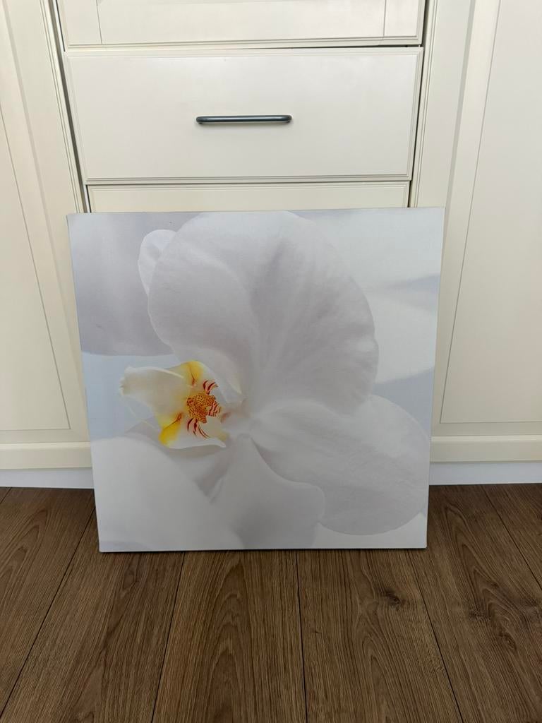 Canvas Ikea, Ophalen, Zo goed als nieuw, Hout, Minder dan 50 cm
