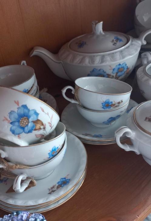 Mooi brocant theeservies, blauwe bloem, Gebrüder Benedict, Antiek en Kunst, Curiosa en Brocante, Ophalen of Verzenden