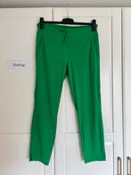 Studio anneloes startup broek L apple green, Kleding | Dames, Broeken en Pantalons, Studio Anneloes, Maat 42/44 (L), Ophalen of Verzenden