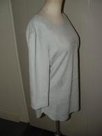 Ambika suedine top maat M, maat 38 driekwart mouw, Maat 38/40 (M), Overige kleuren, Ophalen of Verzenden, Zo goed als nieuw