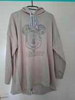 Trui blouse van disney, Ophalen of Verzenden, Zo goed als nieuw