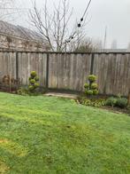 Hout-beton schutting incl poort, Ophalen, Minder dan 3 meter, Hout, 1 tot 2 meter