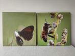 Vlinder en bij - tweeluik op canvas, Ophalen of Verzenden