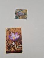 5518 Oude Agipa plaatjes  Stickers, Hobby en Vrije tijd, Ophalen of Verzenden