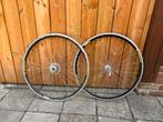 Campagnolo Racewielen Apollo 700x13c, Fietsen en Brommers, Fietsonderdelen, Ophalen of Verzenden, Gebruikt, Racefiets, Wiel