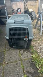 Honden kooi, Ophalen, Zo goed als nieuw, 65 tot 100 cm