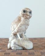 Uil collectie; David Corbridge, volgnr 6, Verzamelen, Dierenverzamelingen, Ophalen of Verzenden, Zo goed als nieuw, Vogel, Beeldje of Figuurtje