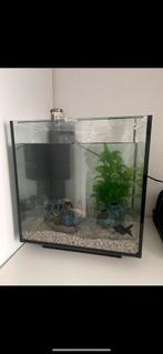 Aquarium met toebehoren, Dieren en Toebehoren, Vissen | Aquaria en Toebehoren, Ophalen of Verzenden, Zo goed als nieuw