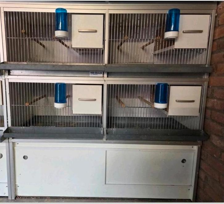 Van Keulen Broedkooien, Dieren en Toebehoren, Vogels | Hokken en Kooien, Broedkooi of Kweekkooi, Ophalen