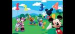 Disney fotobehang   353 x 185, Ophalen of Verzenden, Overige figuren, Zo goed als nieuw, Plaatje of Poster