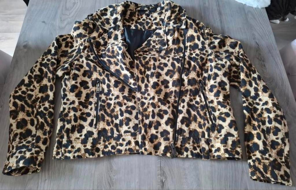 Stoere jack, Ophalen of Verzenden, Zo goed als nieuw, Maat 42/44 (L), Bruin