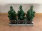 3 mini kunstkerstboompjes in potjes, Diversen, Kerst, Ophalen of Verzenden