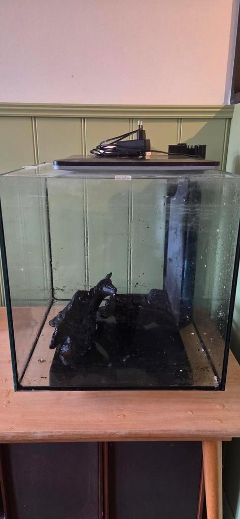 Aquarium superfish, Dieren en Toebehoren, Vissen | Aquaria en Toebehoren, Zo goed als nieuw, Leeg aquarium, Ophalen