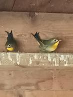 Japanse nachtegaal nachtegalen, Dieren en Toebehoren, Vogels | Overige Vogels, Meerdere dieren