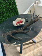 Gewei, edelhert, Ophalen, Gebruikt, Hert, Gewei of Kop