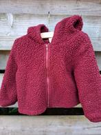 Bordeaux rood teddy vest, Ophalen of Verzenden, Zo goed als nieuw, Jongetje of Meisje, Truitje of Vestje
