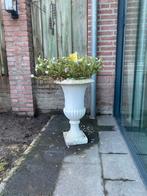 Bloempot, Tuin en Terras, Bloembakken en Plantenbakken, Ophalen, Overige materialen, Gebruikt, Minder dan 60 cm