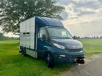 Iveco Daily veewagen - vrachtwagen - veetransport, Auto's, Vrachtwagens, Euro 5, Zwart, Iveco, Blauw