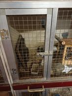 Kweekkooien, Dieren en Toebehoren, Ophalen of Verzenden, Aluminium, Broedkooi of Kweekkooi