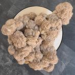 Woestijnroos cluster XXL groot 11,6 kilo, Ophalen of Verzenden, Mineraal