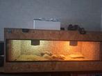 Terrarium met koppel baardagamen, Dieren en Toebehoren, Reptielen en Amfibieën
