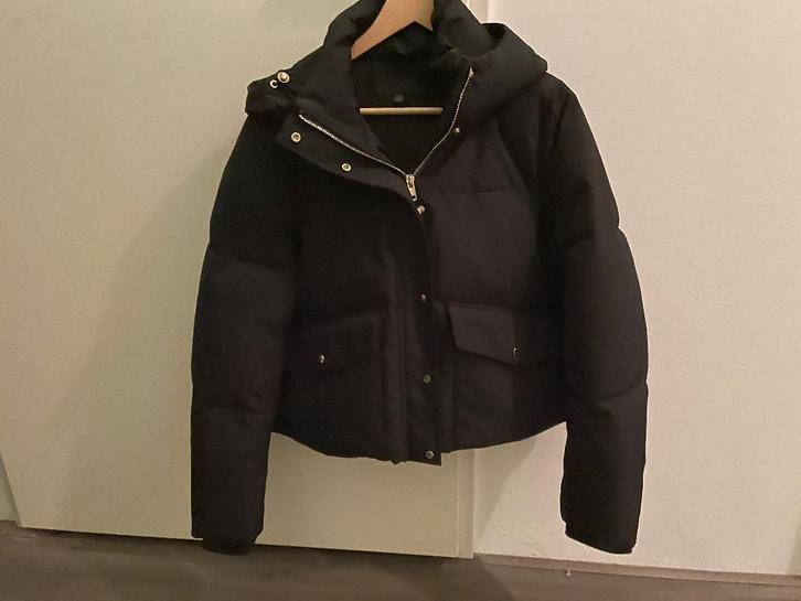 Dames jas, Kleding | Dames, Jassen | Winter, Zo goed als nieuw, Maat 38/40 (M), Zwart, Ophalen