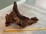Kienhout / Aquariumhout, Ophalen of Verzenden, Zo goed als nieuw, Plant(en), Steen of Hout