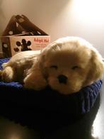 Perfect Petzzz Golden Retriever, Ophalen of Verzenden, Zo goed als nieuw, Hond