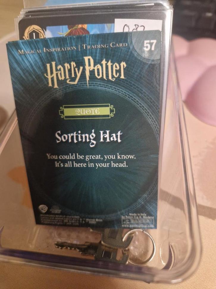 Harry potter kaarten - panini, Verzamelen, Harry Potter, Nieuw, Actiefiguurtje, Ophalen of Verzenden