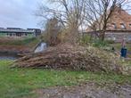 Wilgentakken, gratis af te halen, Tuin en Terras, 3 tot 6 m³, Ophalen, Overige houtsoorten, Takken
