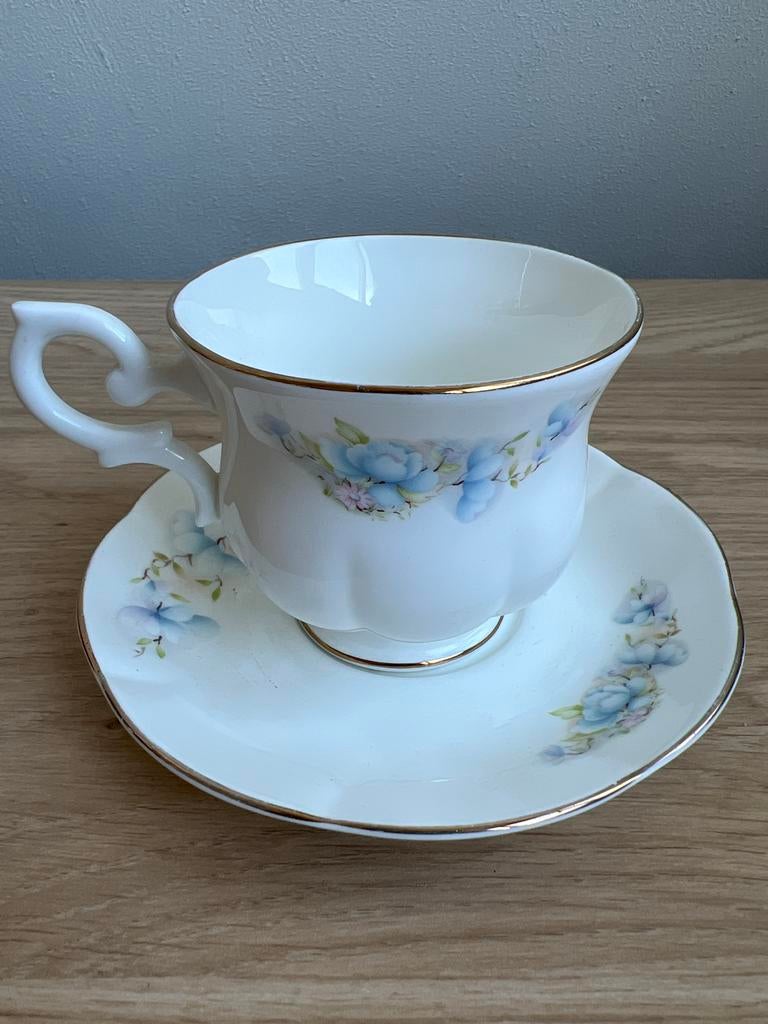 Royal Canterbury ☕️ kop en schotel, Ophalen of Verzenden, Nieuw, Porselein, Kop en/of schotel