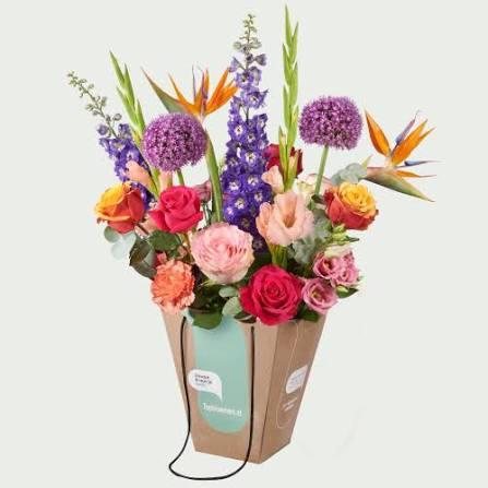 ZZP koeriers gezocht met spoed!!, Vacatures, Vacatures | Chauffeurs, Overige niveaus, Starter, Overige vormen